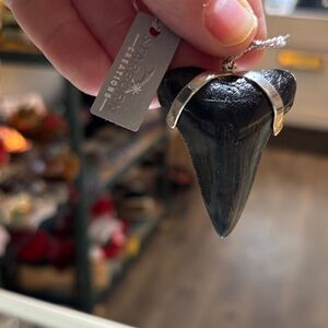 Black Shark Tooth Pendant by Starborn Creations